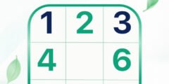 Sudoku – Pin.Games