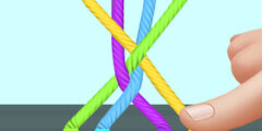 Color Rope Puzzel